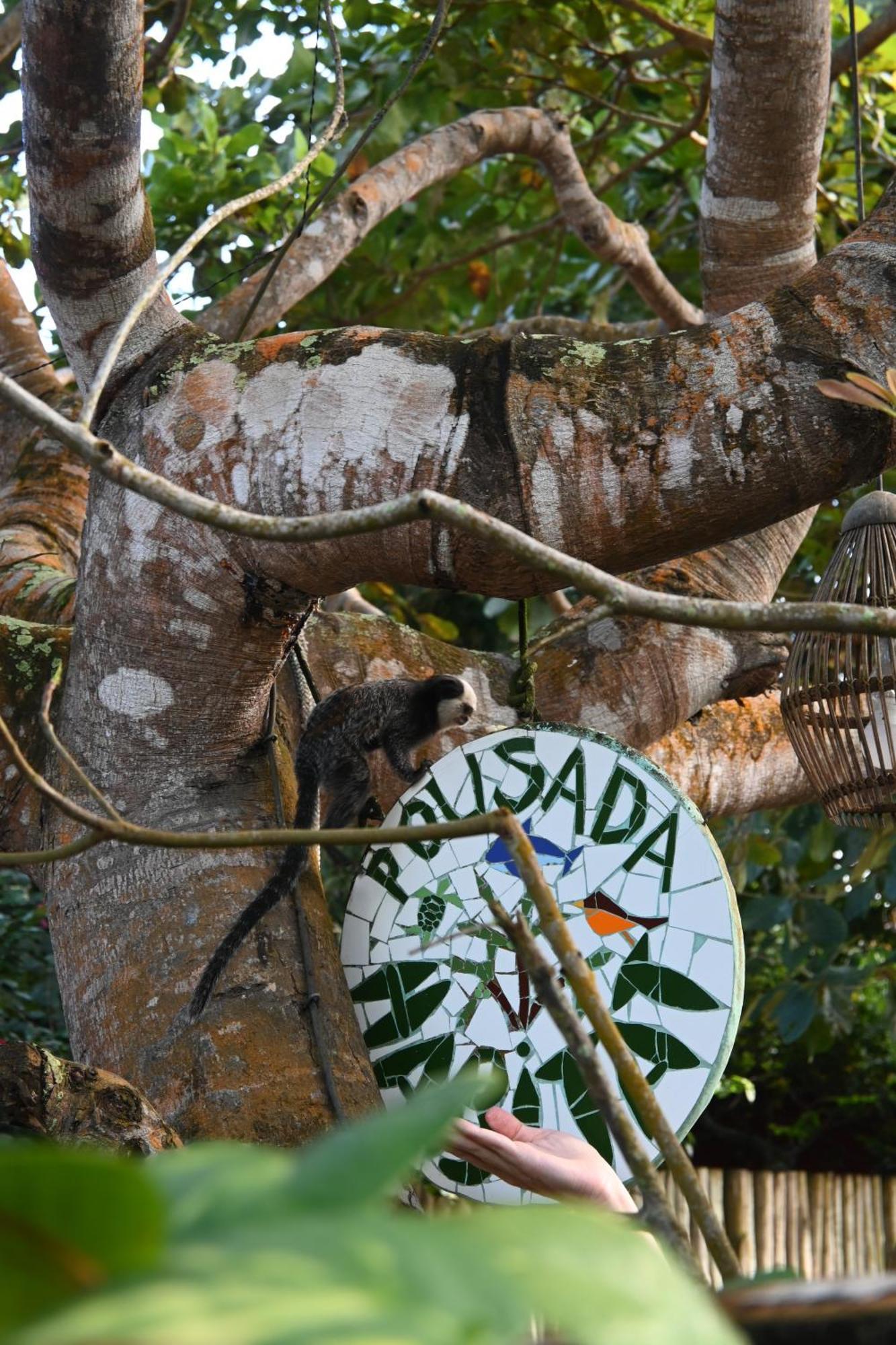 Pousada Habitat Карайва Экстерьер фото
